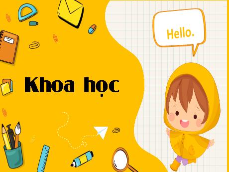 Bài giảng Khoa học 4 (Kết nối tri thức) - Bài 9: Vai trò của ánh sáng (Tiết 1) - Nguyễn Thị Thanh Hiền