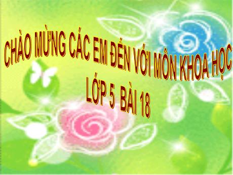 Bài giảng Khoa học 5 - Bài 18: Phòng tránh bị xâm hại - Nguyễn Thị Thanh Hiền