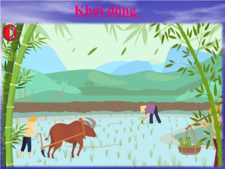 Bài giảng Khoa học 5 - Bài 22: Tre, mây, song - Nguyễn Thị Thanh Hiền