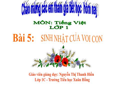 Bài giảng Tiếng Việt 1 (Kết nối tri thức) - Bài 5: Sinh nhật của voi con - Nguyễn Thị Thanh Hiền