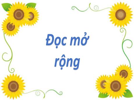 Bài giảng Tiếng Việt 2 (Đọc mở rộng) Kết nối tri thức - Bài: Bài thơ, câu chuyện về tình cảm gia đình - Nguyễn Thị Hồng Thuần