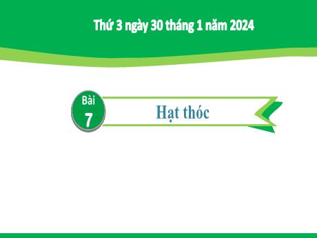 Bài giảng Tiếng Việt 2 (Tập đọc) Kết nối tri thức - Bài 7: Hạt thóc - Năm học 2023-2024 - Mai Thị Thuận