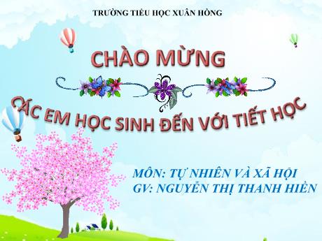 Bài giảng Tự nhiên và Xã hội 1 (Kết nối tri thức) - Bài 10: Cùng khám phá quang cảnh xung quanh (Tiết 2) - Nguyễn Thị Thanh Hiền