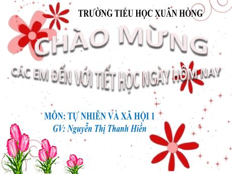 Bài giảng Tự nhiên và Xã hội 1 (Kết nối tri thức) - Bài 12: Vui đón Tết (Tiết 2) - Nguyễn Thị Thanh Hiền