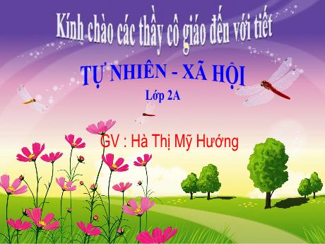 Bài giảng Tự nhiên và xã hội 2 (Kết nối tri thức) - Bài 13: Hoạt động giao thông (Tiết 1) - Năm học 2023-2024 - Hà Thị Mỹ Hướng