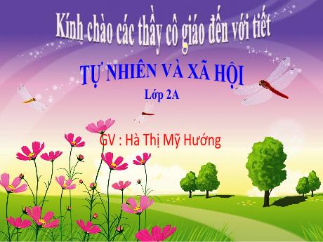Bài giảng Tự nhiên và xã hội 2 (Kết nối tri thức) - Bài 14: Cùng tham gia giao thông - Năm học 2023-2024 - Hà Thị Mỹ Hướng