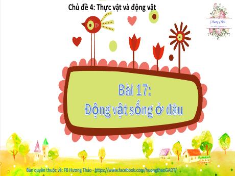 Bài giảng Tự nhiên và Xã hội 2 (Kết nối tri thức) - Bài 17: Động vật sống ở đâu (Tiết 2) - Mai Thị Thuận