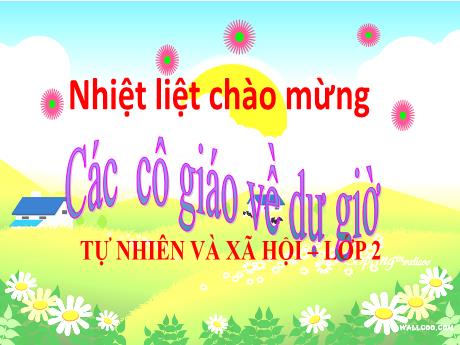 Bài giảng Tự nhiên và Xã hội 2 (Kết nối tri thức) - Bài 24: Chăm sóc, bảo vệ cơ quan hô hấp - Mai Thị Thuận